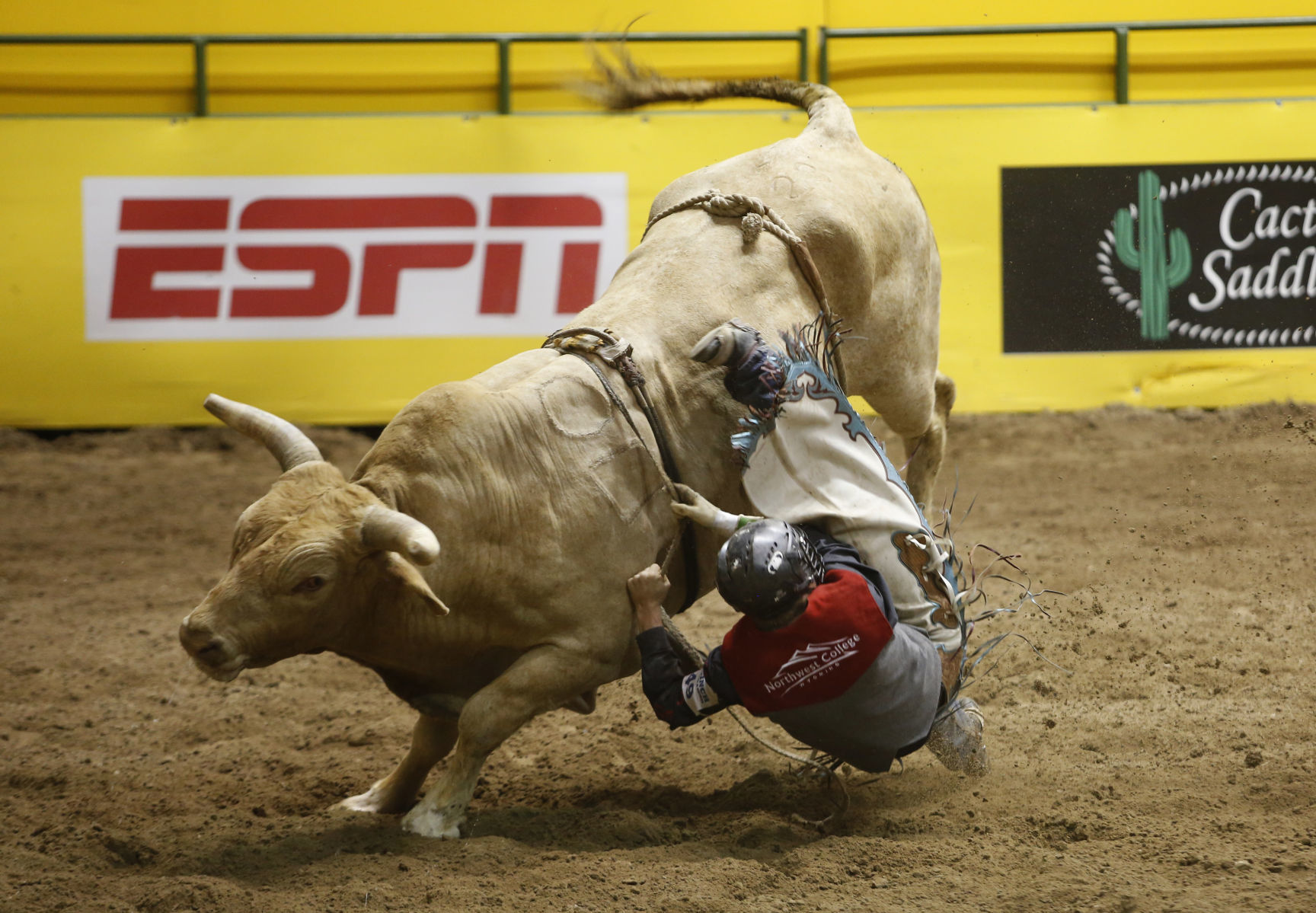 CNFR - Monday